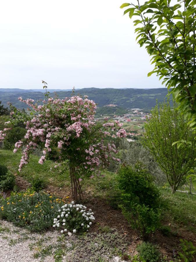 Apartment Finderli Buzet Exterior foto